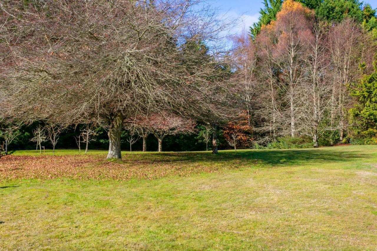 Lupin Lodge Bed & Breakfast Taupo Dış mekan fotoğraf